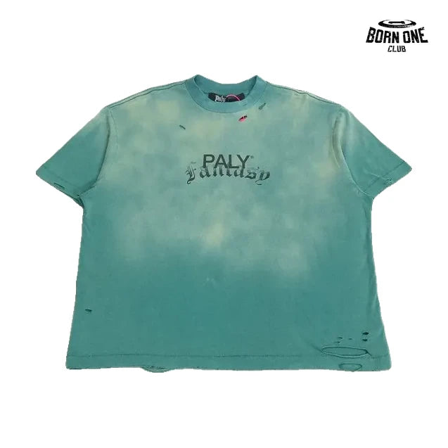 Camiseta Paly Hollywood Fantasy Logo Washed Tee Green