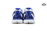 Zoom Kobe 6 'Concord'