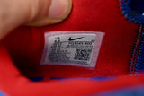 Nike Kobe 4 Protro "Philly"