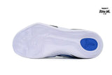 Nike Kobe 9 Protro TB 'Game Royal'