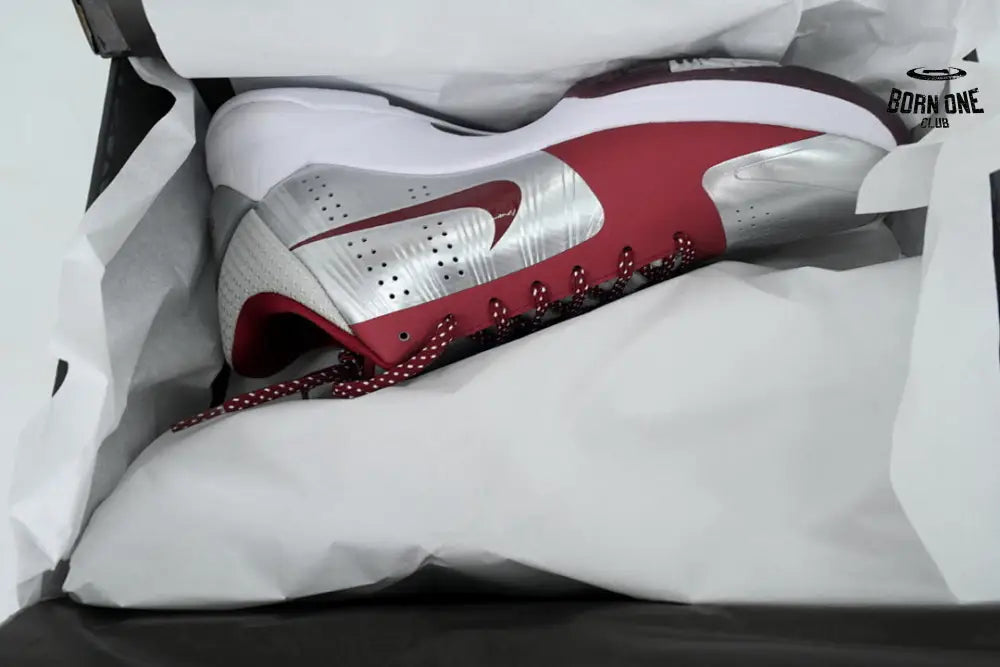 Caitlin Clark x Zoom Kobe 5 Protro Gray Red