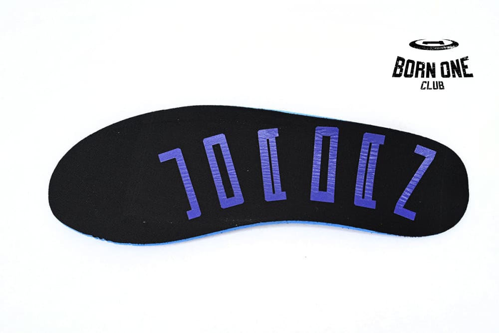 Jordan 1 Low Concord DV1309-100