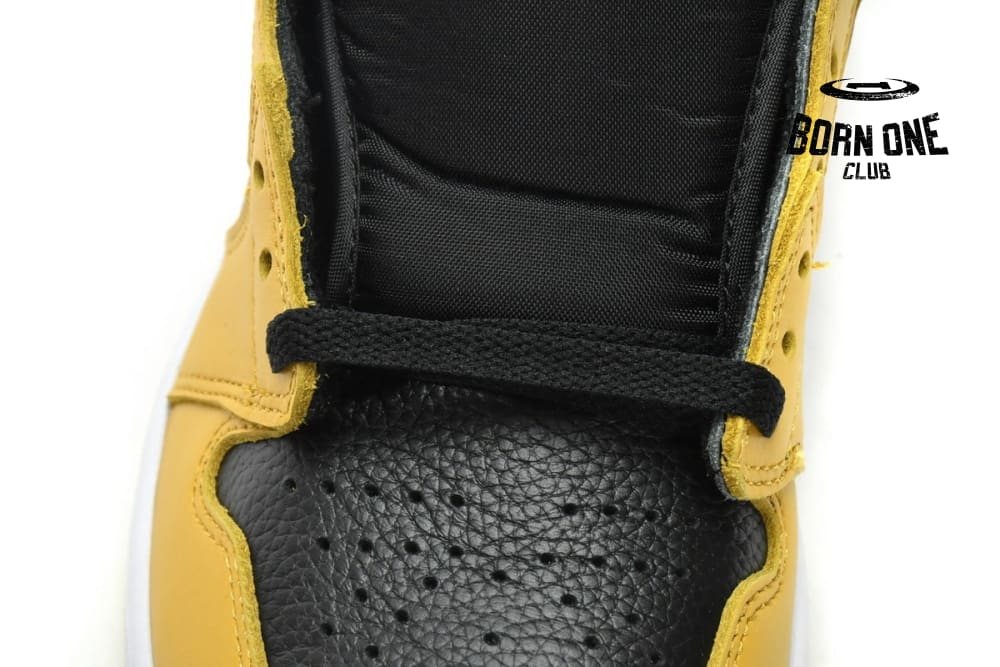 Jordan 1 Retro High Pollen 555088-701