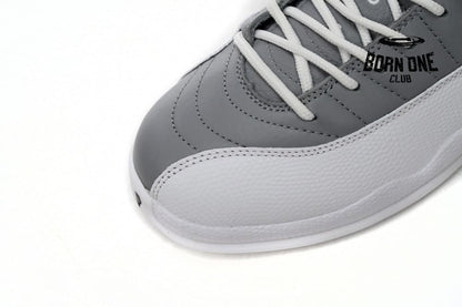 Jordan 12 Retro Stealth CT8013-015