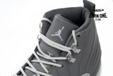 Jordan 12 Retro Stealth CT8013-015