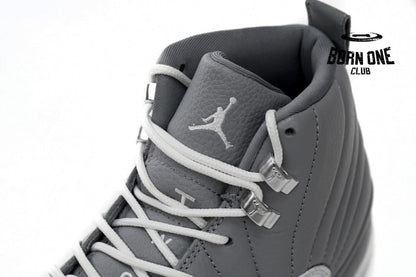 Jordan 12 Retro Stealth CT8013-015