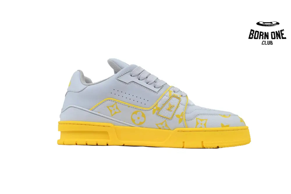 Louis Vuitton Trainer Grey Color Printing