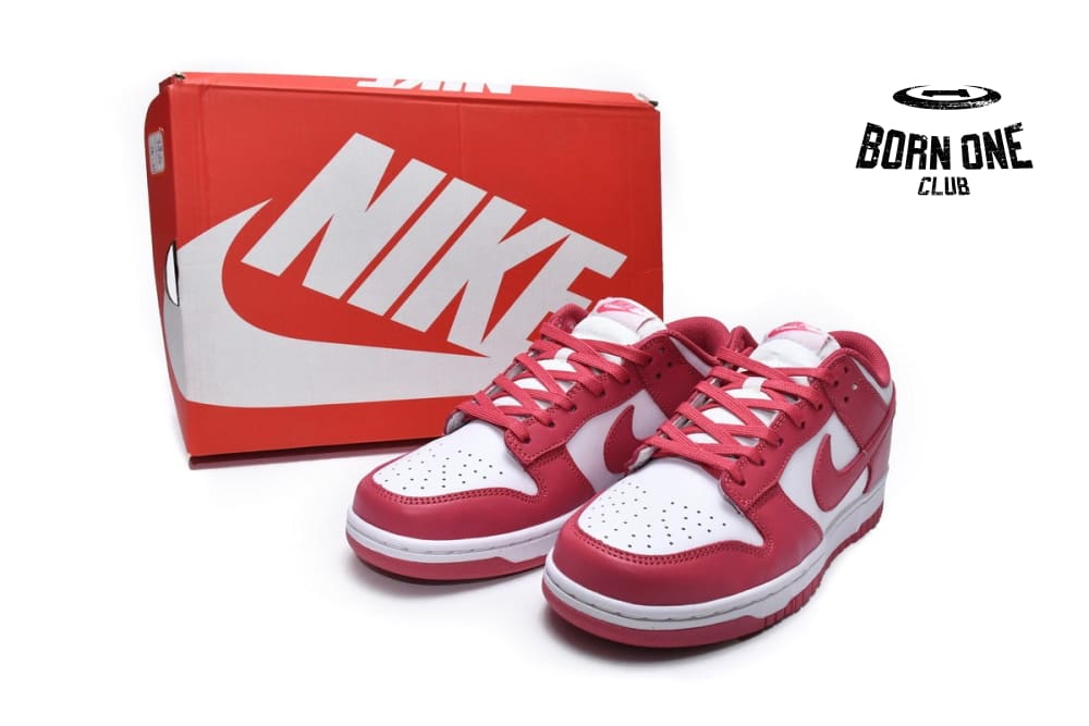 Nike Dunk Low Archeo Pink DD1503-111