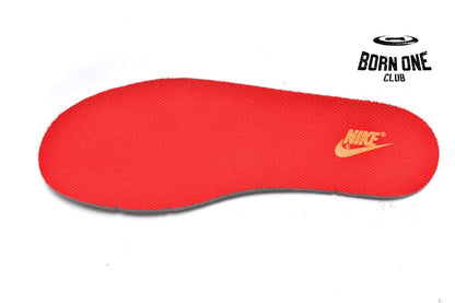 Nike Dunk Low Championship Red (2021) (GS) CW1590-600