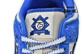Nike Dunk Low Jackie Robinson DV2203-400