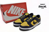 Nike Dunk Low Michigan (2021) DD1391-700