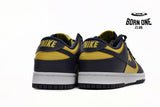 Nike Dunk Low Michigan (2021) DD1391-700