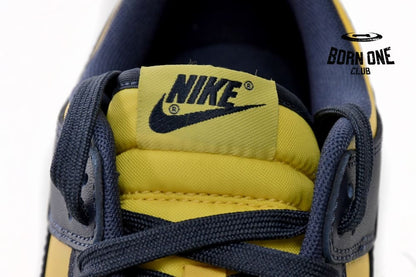 Nike Dunk Low Michigan (2021) DD1391-700