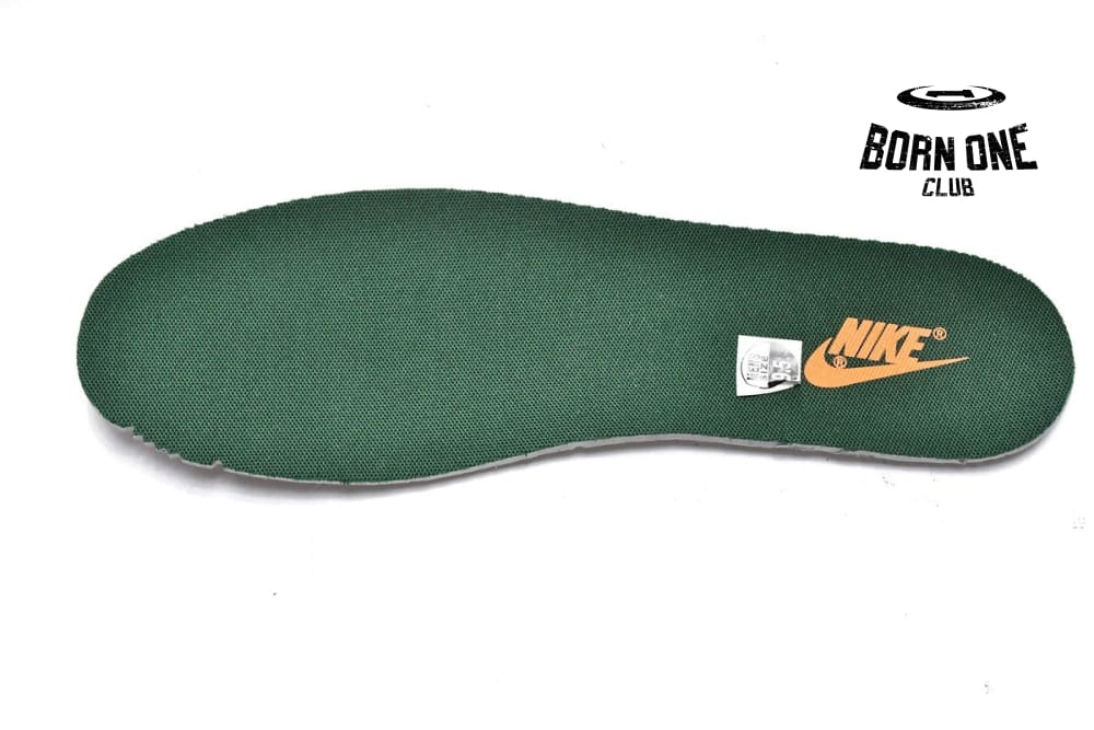 Nike Dunk Low Michigan State DD1391-101
