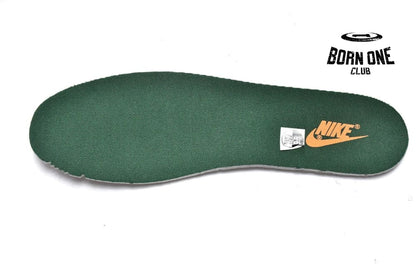 Nike Dunk Low Michigan State DD1391-101