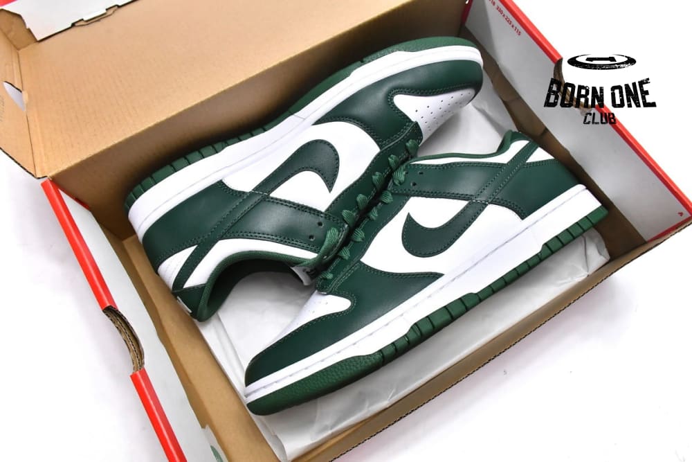 Nike Dunk Low Michigan State DD1391-101