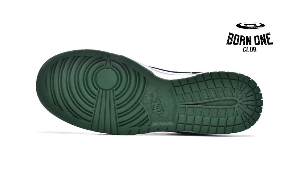 Nike Dunk Low Michigan State DD1391-101