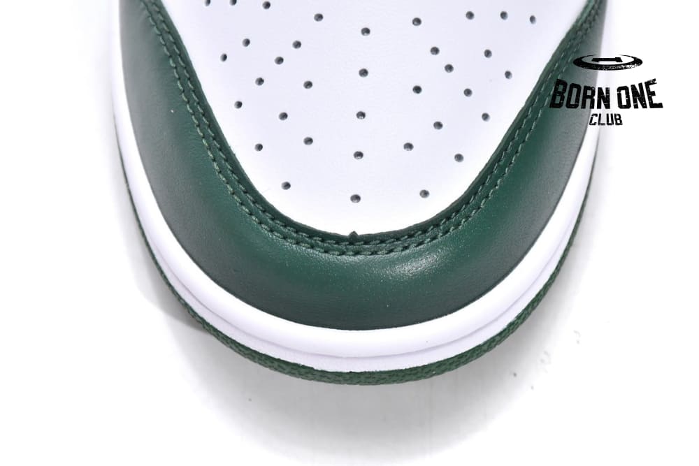 Nike Dunk Low Michigan State DD1391-101
