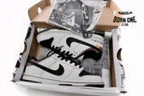 Nike Dunk Low SB AE86 AE1391-086