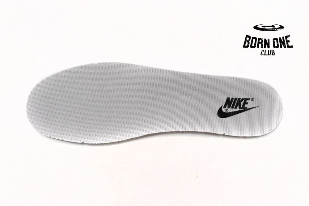Nike Dunk Low SB AE86 AE1391-086