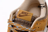 Nike Dunk Low Teddy Bear DZ5350-288