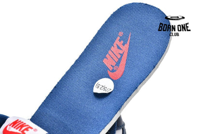Nike Dunk Low Valerian Blue DD1391-400