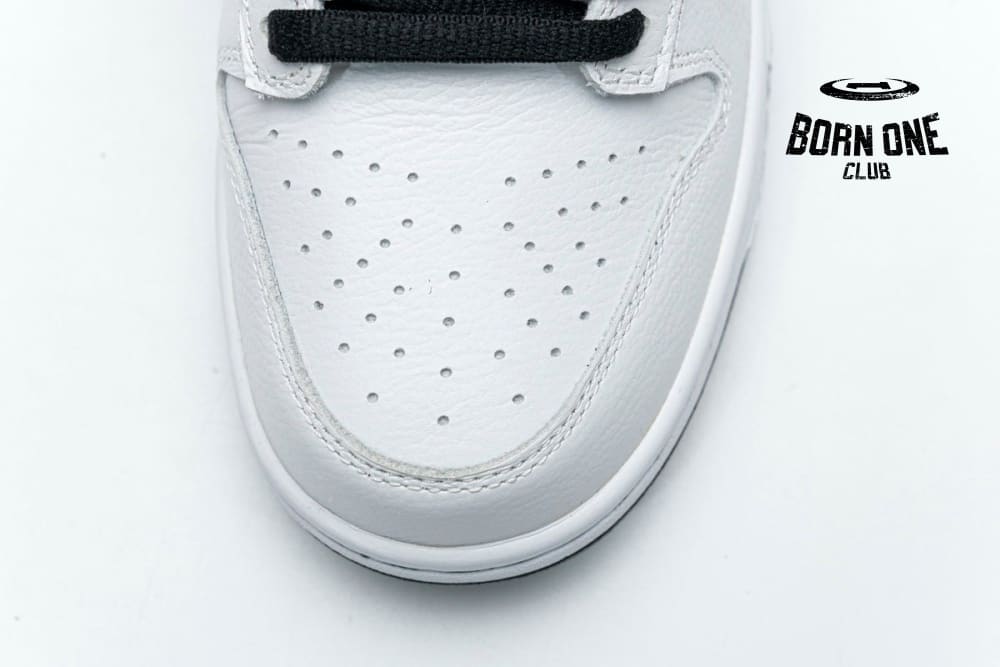 Nike Dunk SB Low Raygun Home 304292-802