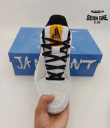 NIKE JA 1 x LIGHT SMOKE GREY