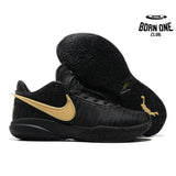 NIKE LEBRON 20 x BLACK GOLD