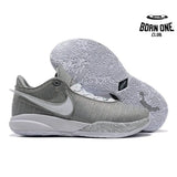 NIKE LEBRON 20 x GREY WOLF