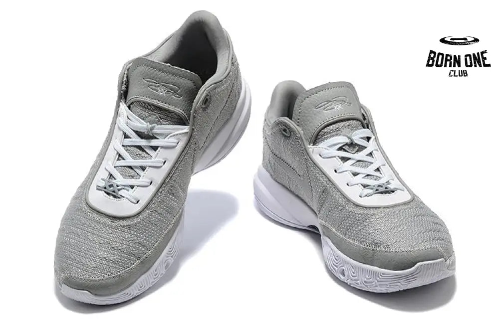NIKE LEBRON 20 x GREY WOLF