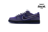 Nike SB Dunk Low Concepts Purple Lobster BV1310-555