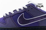Nike SB Dunk Low Concepts Purple Lobster BV1310-555