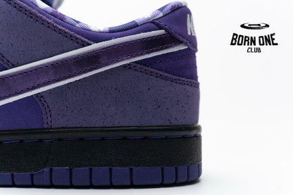 Nike SB Dunk Low Concepts Purple Lobster BV1310-555