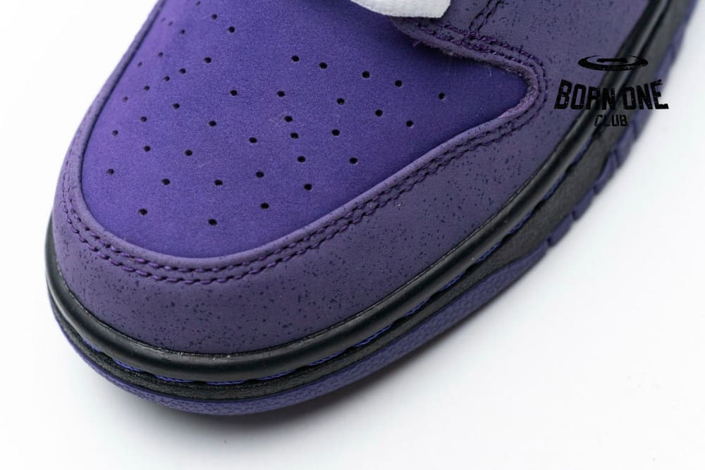 Nike SB Dunk Low Concepts Purple Lobster BV1310-555