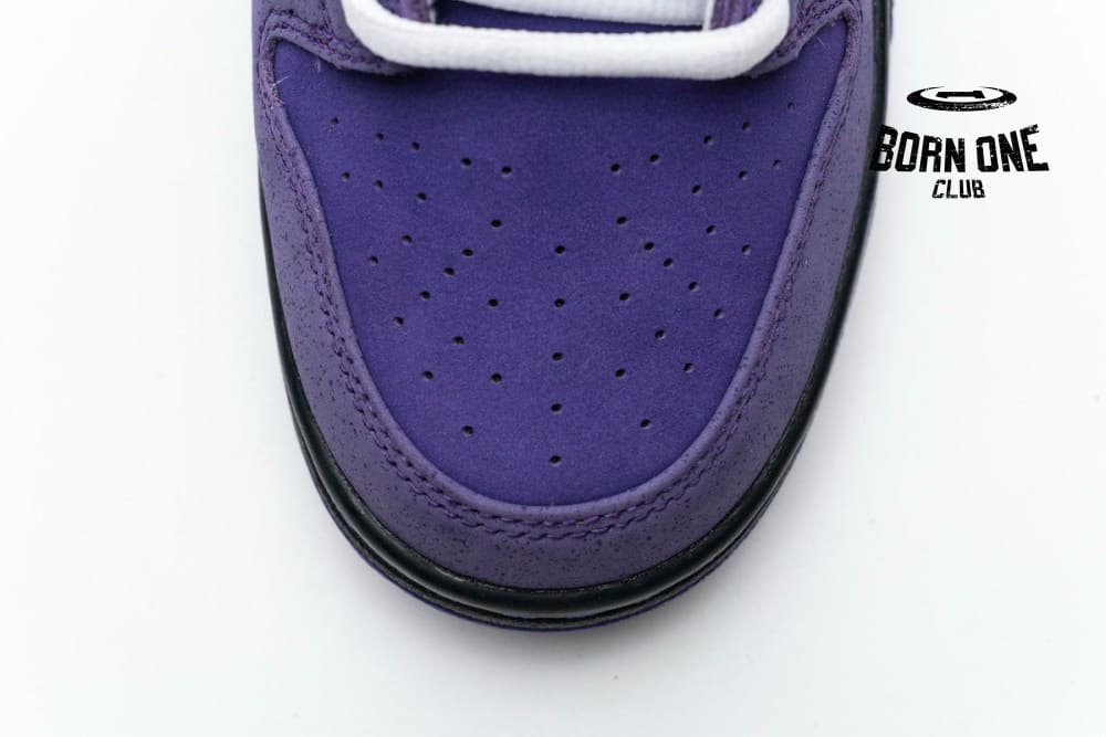 Nike SB Dunk Low Concepts Purple Lobster BV1310-555