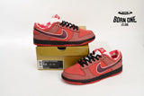 Nike SB Dunk Low Concepts Red Lobster 313170-661