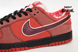 Nike SB Dunk Low Concepts Red Lobster 313170-661
