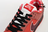 Nike SB Dunk Low Concepts Red Lobster 313170-661