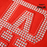 Louis Vuitton Mix Leather Varsity Jaqueta