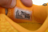 Zoom Kobe 6 Protro 'Mambacita'